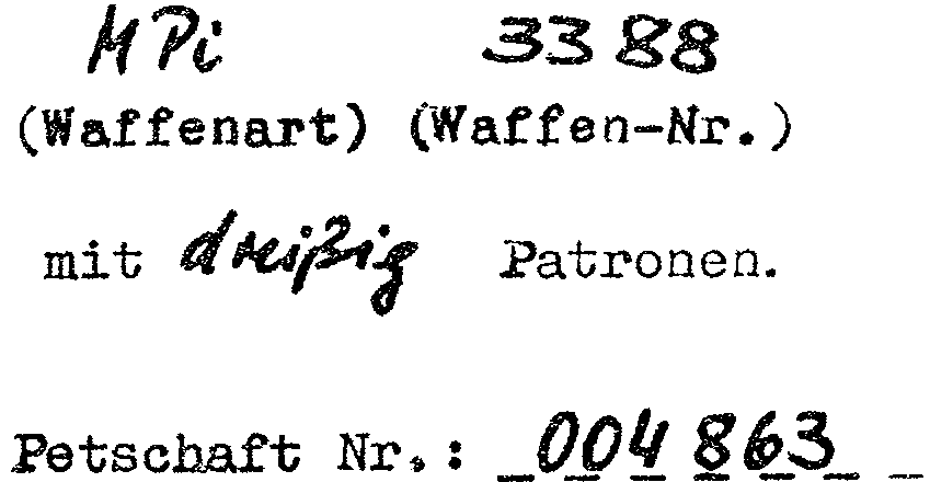 Berechtigungskarte SNZ